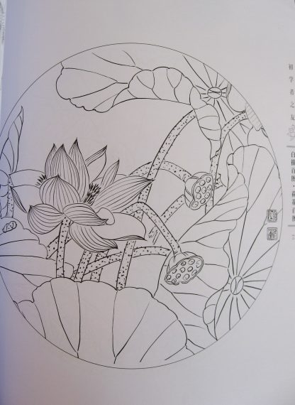 Illustration-Lotus & water lilies - Image 4