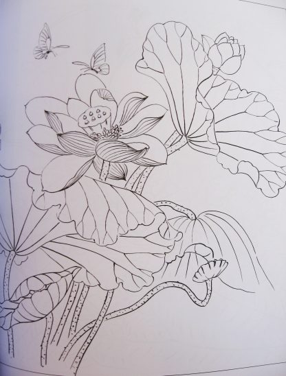 Illustration-Lotus & water lilies - Image 5
