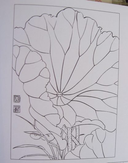 Illustration-Lotus & water lilies - Image 7