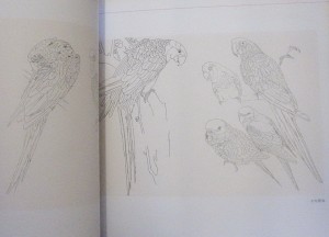 Southerner - Image 4