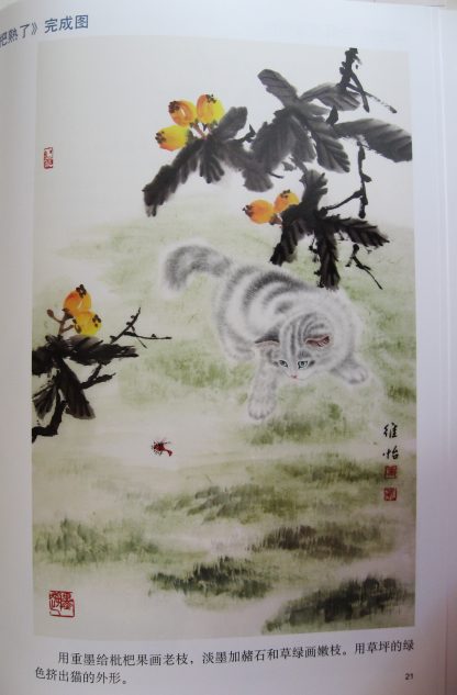 Cat - Image 4