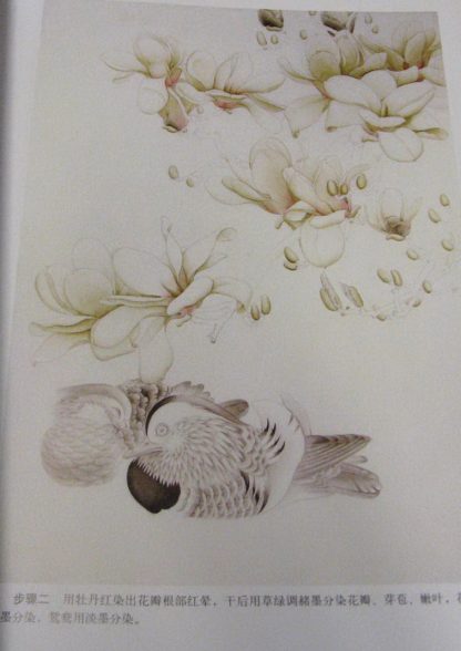Magnolia (3) - Image 2