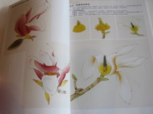 Magnolia - Image 2
