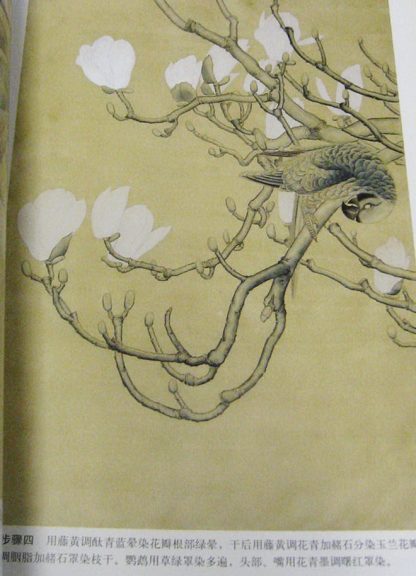 Magnolia (3) - Image 4