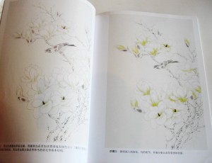 Magnolia - Image 3