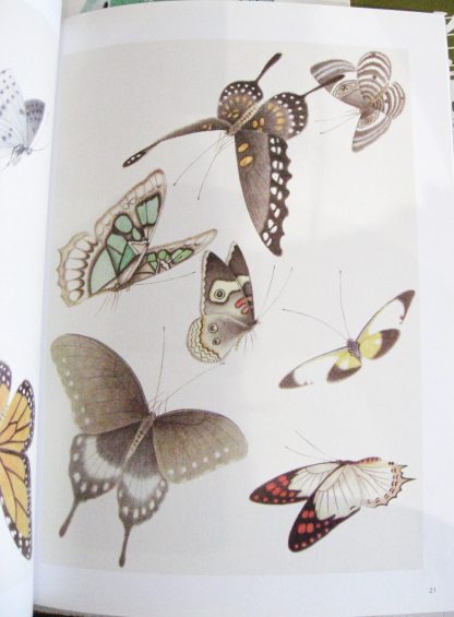 Butterflies in Chinese style - Image 2