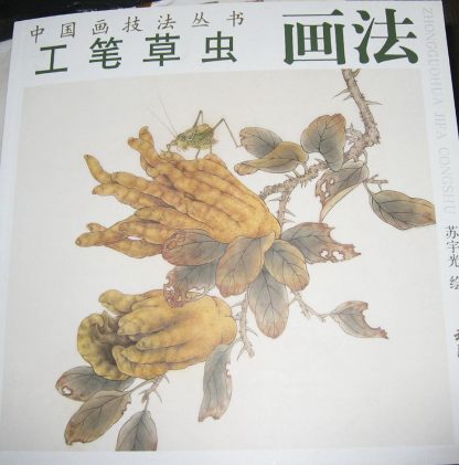 Book in GongBi style