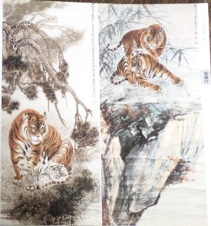 Collections - Image 4