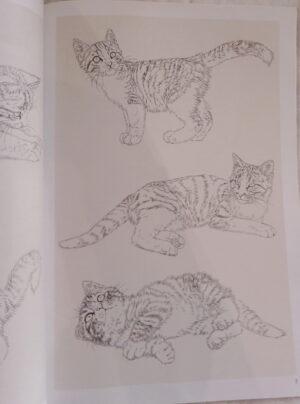 Cats - Image 2