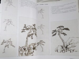 Basic steps in landscape - Image 2