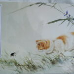 Cats (2)