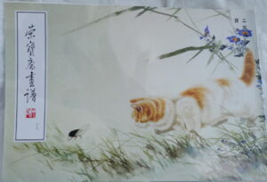 Cats (2)