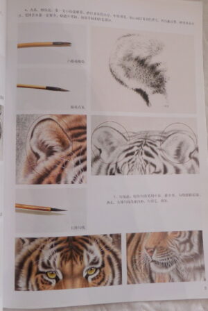 GongBi - tiger (3) - Image 2