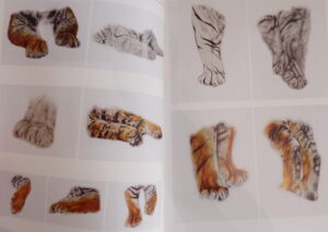 Tiger by Mr. Chan(陳敬蛰) - Image 2