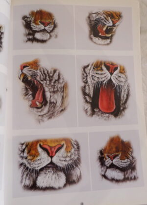 Tiger by Mr. Chan(陳敬蛰) - Image 3